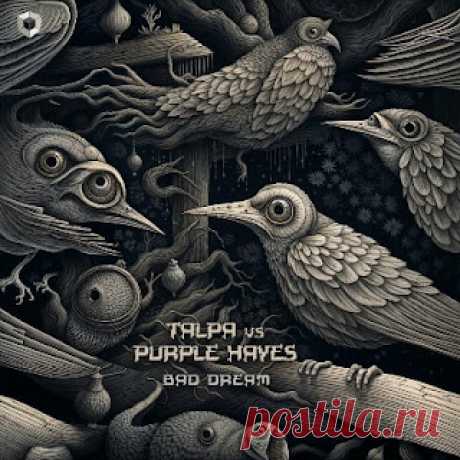 lossless music  : Talpa, Purple Hayes - Bad Dream