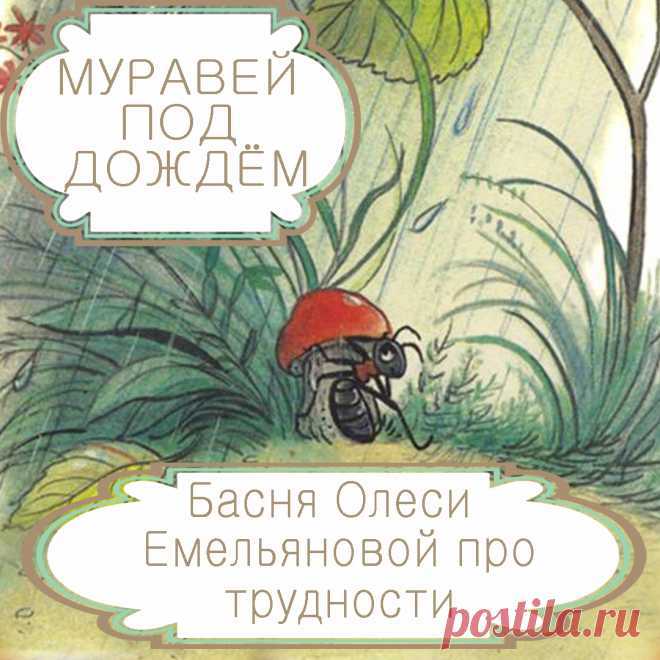 Муравей под дождем  – басня в стихах Олеси Емельяновой про жизненные трудности и счастье.
Как говорится, не было бы счастья, да несчастье помогло. И, действительно, нередко большое счастье приходит в жизнь человека только после трудностей и невзгод. Именно такую поучительную и оптимистичную историю расскажет вам эта современная басня в стихах.