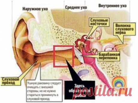 Капли в уши ремо вакс - инструкция и отзывы пациентов