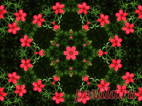 Flower Patterned Ornament  Free Stock Photo HD - Public Domain Pictures