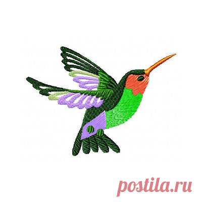 Hummingbird and Flowers 10 Machine Embroidery Designs set 4x4 | eBay