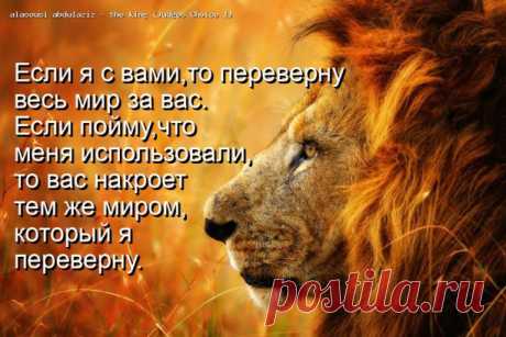 ЛЕВ. ЕЖЕДНЕВНЫЙ ГОРОСКОП. 11 ИЮЛЯ 2022. 
День не совсем подходит Львам для достижения высоких целей. Также вы не заметите малейшие результаты своей работы. Многие посчитают, что бороться за это нет смысла, ведь подобное занятие ниже их достоинства. Общая ситуация может показаться настолько странной и неудобной, что вы уже и поймете, как лучше действовать.

Впрочем, постарайтесь не паниковать и расслабиться. Если у вас есть билет на самолет или поезд, а времени до отправки ...