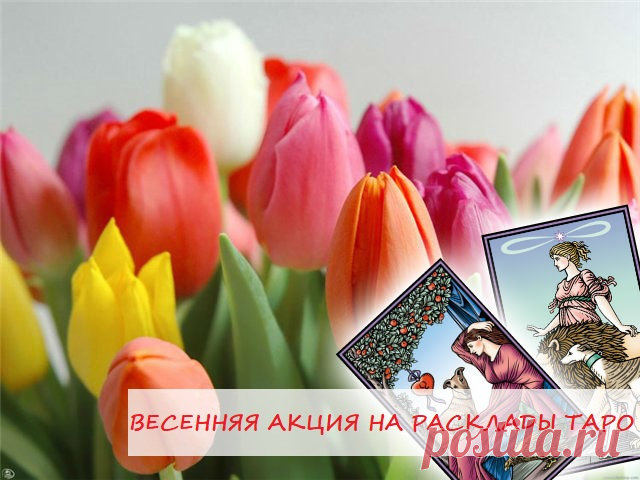 ✨Дорогие мои!✨

💐Только с 3 по 8 марта 💐 Весенняя акция на все расклады отношения, любовь, брак, со скидкой 🎁

👩‍❤‍👨Расклад на выбор!

УСПЕЙ ЗАКАЗАТЬ!!!

Отзывы о моих услугах - https://vk.com/topic-163986738_39618346

✍🏻Чтобы получить мою индивидуальную помощь/ консультацию/  свяжитесь со мной.

по электронной почте - elena.taro.taro@yandex.ru

WhatsApp - +79776518663

группа вк - https://vk.com/taro.orakul

Ваша Елена 🙏🏻
