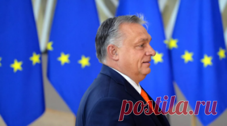 Орбан заявил, что призовёт парламент Венгрии одобрить приём Швеции в НАТО. Кабмин Венгрии поддерживает вступление Швеции в НАТО и призывает парламент при первой же возможности ратифицировать соответствующее соглашение. С заявлением об этом выступил 24 января венгерский премьер Виктор Орбан. Читать далее