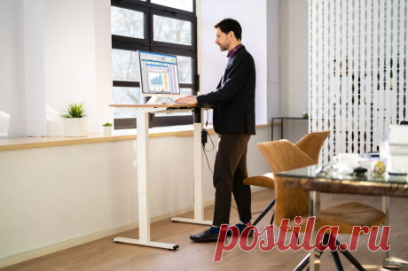 In this comprehensive article, we will explore the myriad advantages of investing in standing desk for a modern and efficient workspace. We will delve into the key features and benefits of these desks, highlighting their impact on employee well-being, productivity, and overall office culture.
https://www.fezibo.com/collections/standing-desk
https://www.fezibo.com/