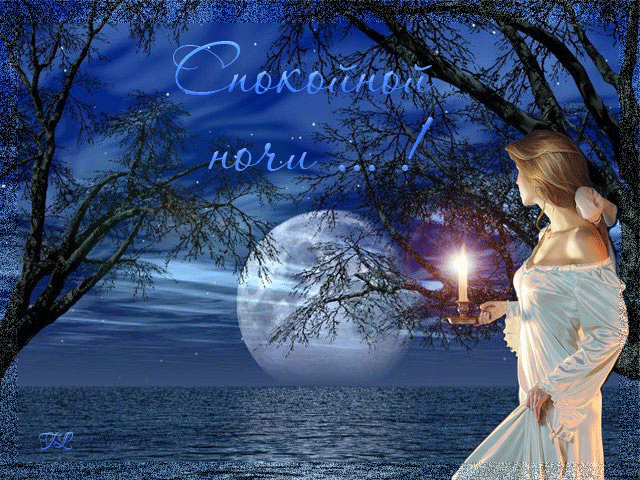 Спокойной ночи! Сладких снов!