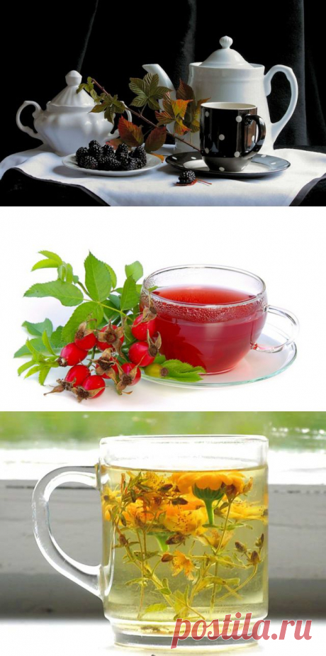 Травяные чаи. Чай любят все. Но не все знают, какой чай в какое время суток лучше пить.

Для любителей чая эти советы и рекомендации:

Утром хорошо пить - тонизирующий чай (дягиль, листья земляники, цветки и листья клевера, лимонник, лаванда, любистик).

Вечером - успокаивающие травяные чаи (зверобой, иван-чай, малина (листья), мята перечная, ромашка, мелисса, первоцвет, лист вишни).

Зимой или ранней весной - поливитаминные травяные чаи (листья малины, ежевики, черной смородины, крапивы