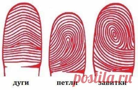 Характер по узорам отпечатков пальцев - ЖУРНАЛ СО ВКУСОМ