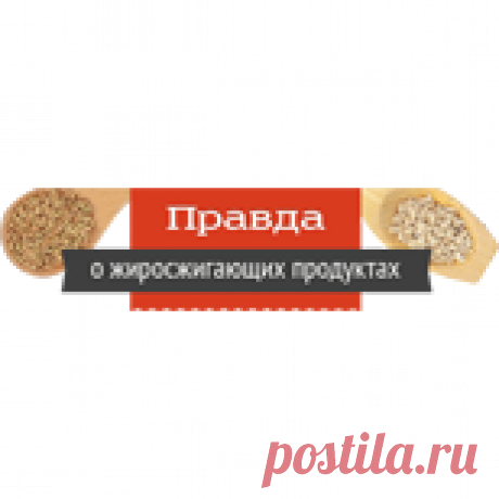 Вся правда о жиросжигающих продуктах – СТОПЖИР