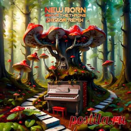 lossless music  : New Born - Above The Throns (Shigaon Remix)