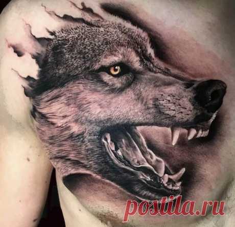 Тату Волк на Груди (45+ Фото) — Интересное Значение