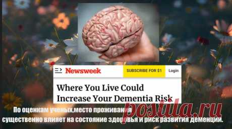 По оценкам ученых,место проживания существенно влияет на состояние здоровья и риск развития деменции. Статья автора «VestiNews.