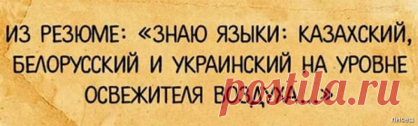Офигительная подборка, всё в точку! / Писец - приколы интернета
