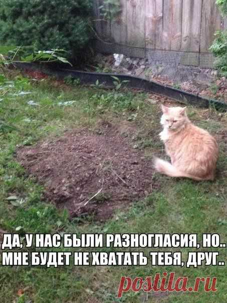 Больше, чем просто фотография