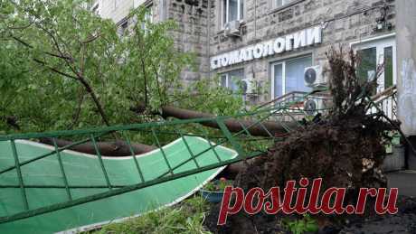 Спасайтесь правильно: как вести себя в городе при урагане — Справки - Новости Mail.Ru