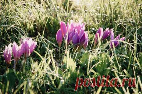 (10 000+) фото ранняя весна и картинки ранняя весна - скачать картинки · Скачивайте совершенно бесплатно · Стоковые фото Pexels