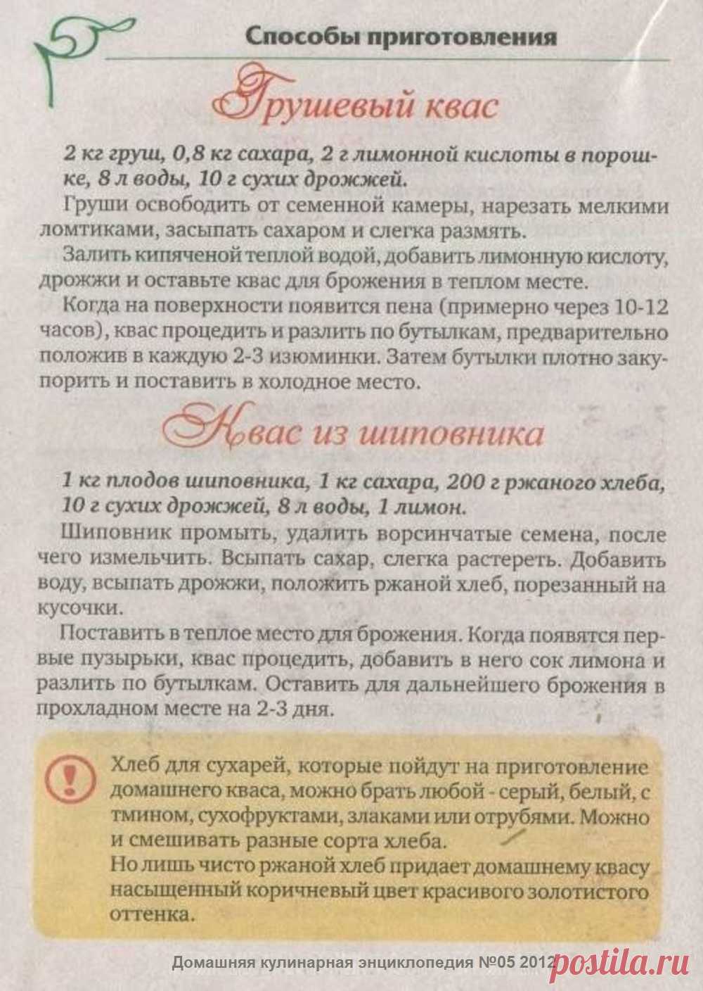 Грушевый квас. Квас из шиповника