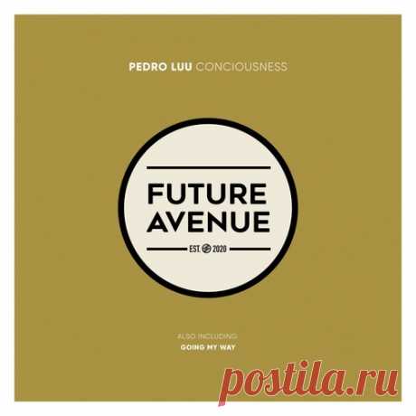 Pedro Luu – Conciousness [FA398]