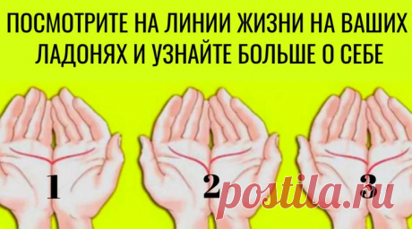 Тест: сложите ладошки и узнайте всю правду о своём характере А вы знали, что руки каждого из нас с вами уникальны? И хоть внешне отличия не так уж и видны, но на самом деле они есть. И мы сейчас говорим не только об элементах папиллярных узоров, отвечающих за у...