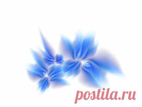 Blue Flower Wallpapers | Flowers &amp; Plants