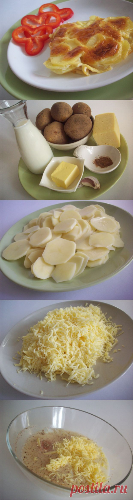 Запеченный под сыром картофель «Дофине» | Ваши любимые рецепты