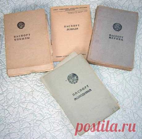 Home / Twitter  СССР - это когда крестьяне в колхозах работали без паспортов, а вот у кобыл, меринов и даже молодняка - паспорт был.