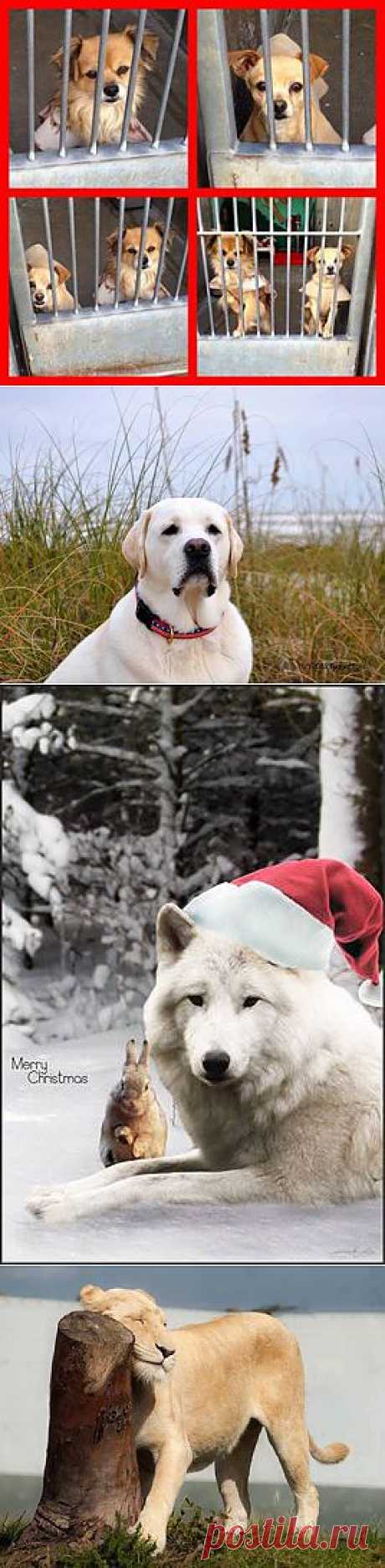 (1) Facebook