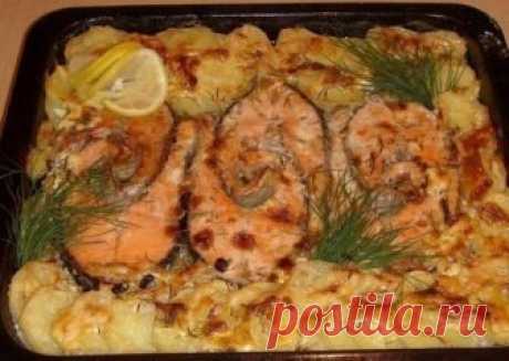 Запекаем РЫБУ - 6 рецептов!
1. Обалденная вкусная запеканка картофельная с рыбкой
Получается изумительная хрустящая сырная корочка! И рыбка, и картошка в сливках со специями приобретают нежный пикантный вкус! Быстро, легко и вкусно! Рецепт для уютного семейного ужина, все будут довольны и сыты.
Ингредиенты:
- 5-6 картофеля
- 500 г рыбы
- 2 помидора
- 1 большая луковица
- сыр
- зелень
- сливки
Приготовление:
Многие соблюдают пост, поэтому сливки можно заменить рыбным бульоном. И тогда