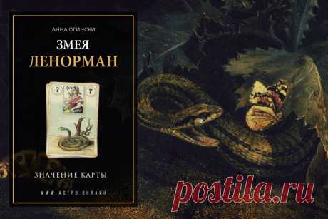 Значение карты Ленорман: Змея