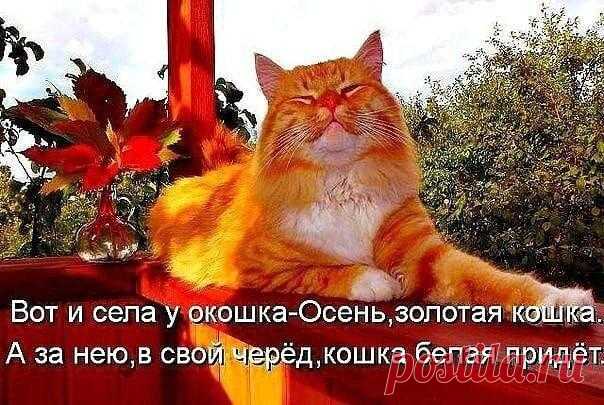 Просто анекдоты. Осень тоже любит Котиков
картинка взята из свободного интернета картинка взята из свободного интернета Вот хотела сделать сегодняшнюю традиционную подборку анекдотов про работу. И про мотивацию к работе. Это ведь так важно по понедельникам, не правда ли? Но наткнулась в интернете на этот шикарный паблик и решила — нет ничего важнее Котиков! Особенно по понедельникам, когда все мы так […]
Читай дальше на сайте. Жми подробнее ➡