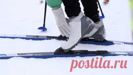 Все о лыжах: как подобрать по росту, правильная стойка и виды катания
