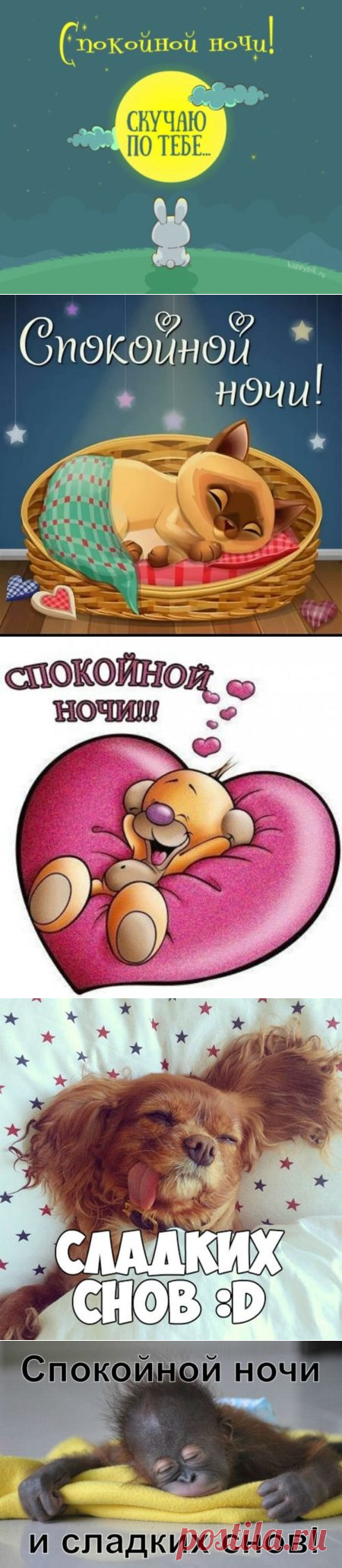 Картинки спокойной ночи прикольные мужчине: открытки смешные с юмором и надписями