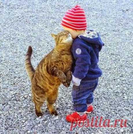 Google+