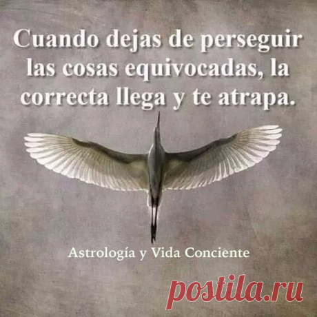 Maribel Medina (@astrologiayvidaconsciente) | Instagram photos, videos, highlights and stroies
