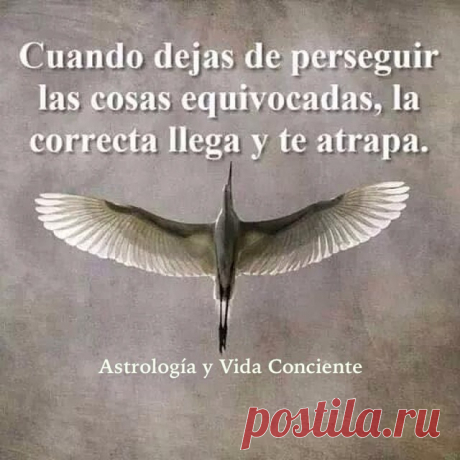 Maribel Medina (@astrologiayvidaconsciente) | Instagram photos, videos, highlights and stroies