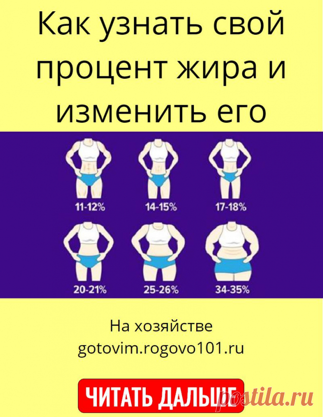 Как узнать свой процент жира и изменить его | Полезные советы | Постила