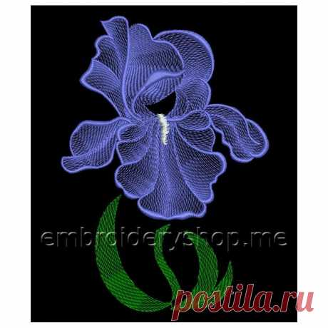 Ирис flw0122 - Embroideryshop.me - магазин дизайнов и шрифтов машинной вышивки