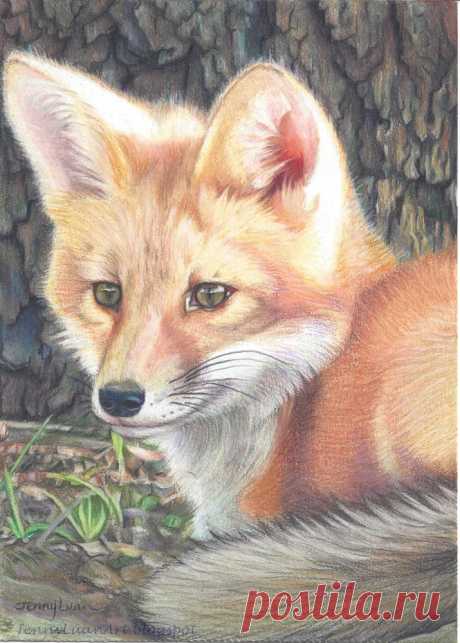 Reveries Aug 2014 CPM Art Challenge Photo #1408  Photo by Patricia Sue Overton  - Copyright Released!  Challenge Name: "Fox Friend"  Artist Name: Jenny Luan Frye  Category: Advance  Size: prox.. 5"x7"  Media: prismacolor pencil, prismacolor verithin color pencil, faber castell polychromos color pencil and some OMS  Email: tsentsen@hotmail.com  daydreamer is happy.. must have dreamed up something good :)