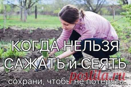 Когда нельзя сажать и сеять