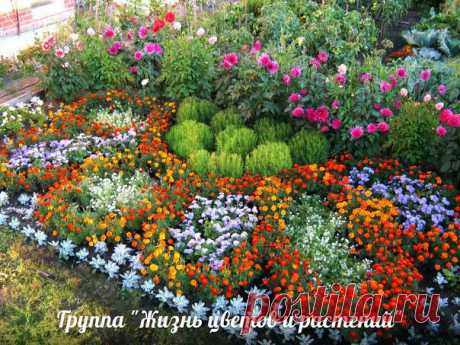 Мечтаете об идеальном цветнике? ЧИТАЙТЕ СОВЕТЫ И РЕКОМЕНДАЦИИ