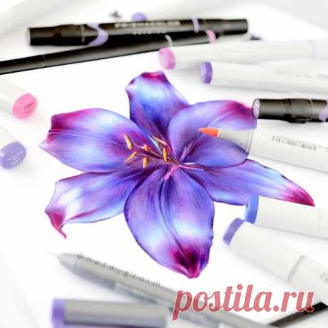 Маркеры для скетчинг: 2 тыс изображений найдено в Яндекс.Картинках