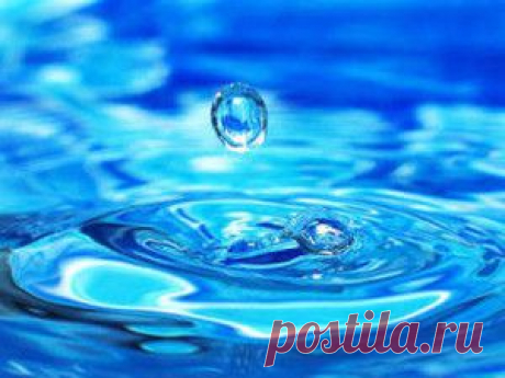 Вода - источник жизненной силы организма человека | Развитие человека