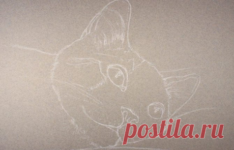 Урок как нарисовать кошку пастелью для начинающих поэтапно