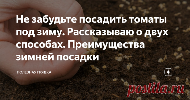 Не забудьте посадить томаты под зиму. Рассказываю о двух способах. Преимущества зимней посадки Здравствуйте уважаемые читатели. Спасибо большое, что заглянули. Посев томатов под зиму неплохо экономит время весной. При этом удается получить отличной урожай. Хочу рассказать вам о двух способах, которые всего скорее заинтересуют тех, кто любит необычные способы выращивания овощей.  Не стоит бояться, что томаты посаженные под зиму вырастут слабыми . Они всегда вырастают такими...