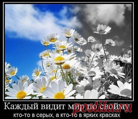 Добрая рекомендация
Если ты думаешь за всех, ты опять ошибаешься. У каждого свои заботы.
Думай по-своему и за себя, но помни - не думая о других, ты прежде всего не думаешь о себе.
Если ты задаёшь вопрос, значит, ты уже знаешь половину ответа.

#рекомендация #философия #думать #заботы #вопрос #решение