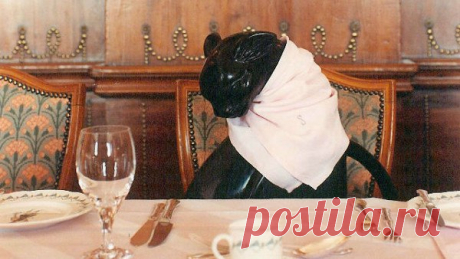 Почему многие политики и бизнесмены обедали со статуей кота за столом? — Интересные факты