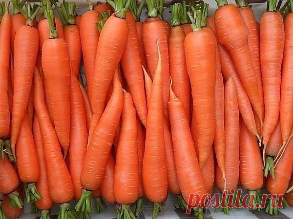 Чтобы свекла и морковь были сладкими