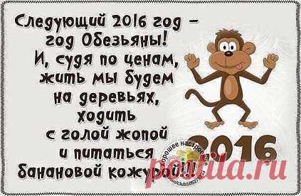 Веселый гороскопчик на 2016 год...