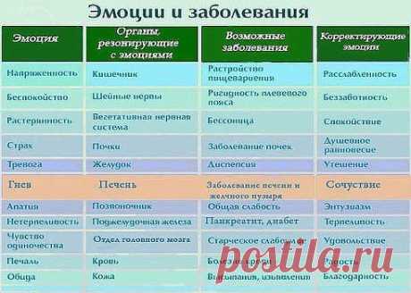 Коралловый Клуб в Феодосии
9 лет, Россия, Феодосия