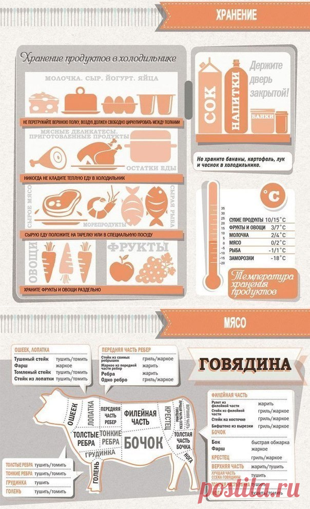 Шпаргалки на кухню хозяйке картинки
